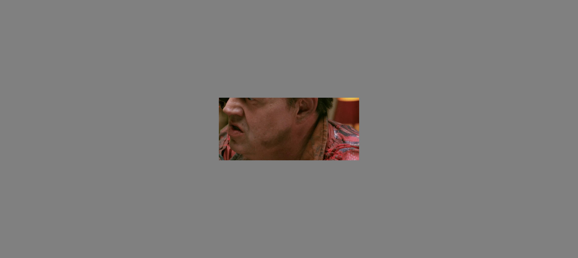 STARDUSTmark version 2 cropped frame result
