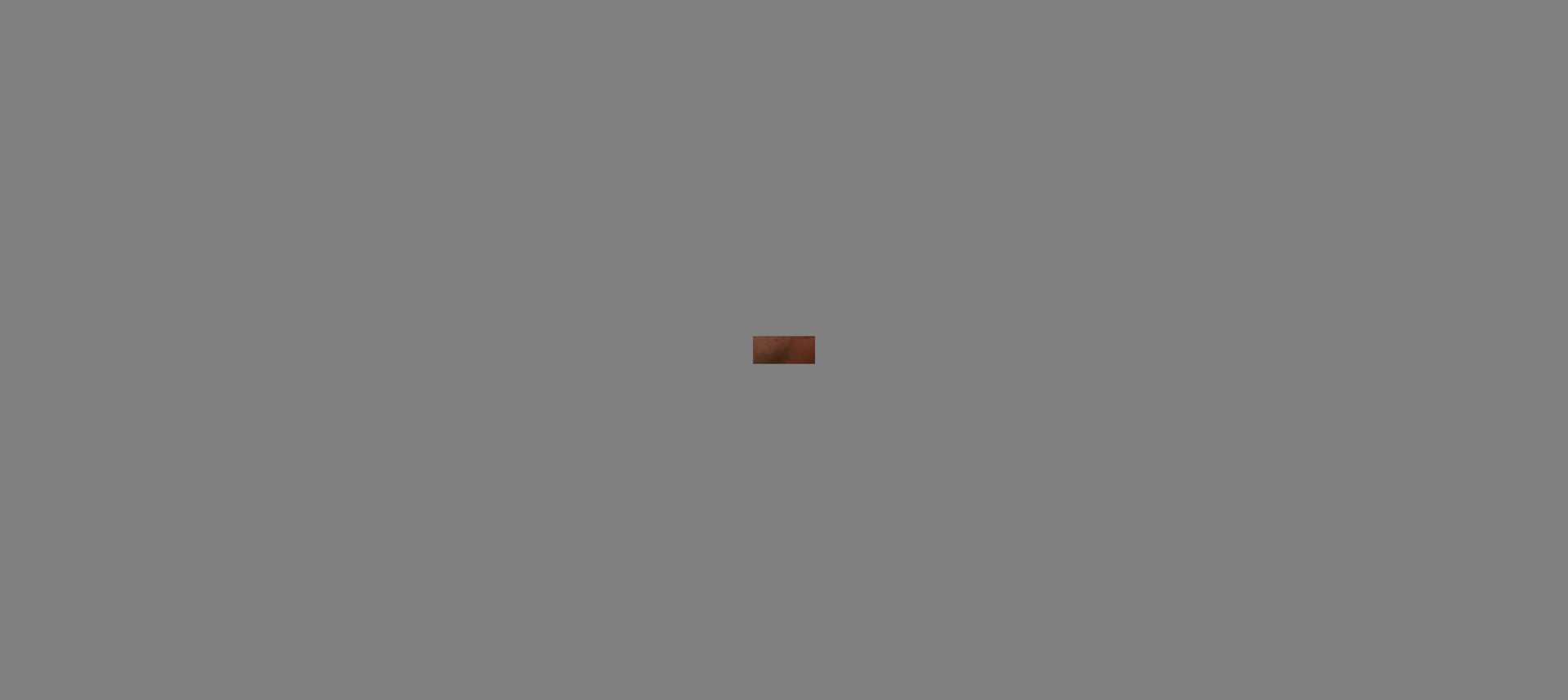 STARDUSTmark version 3 cropped frame result